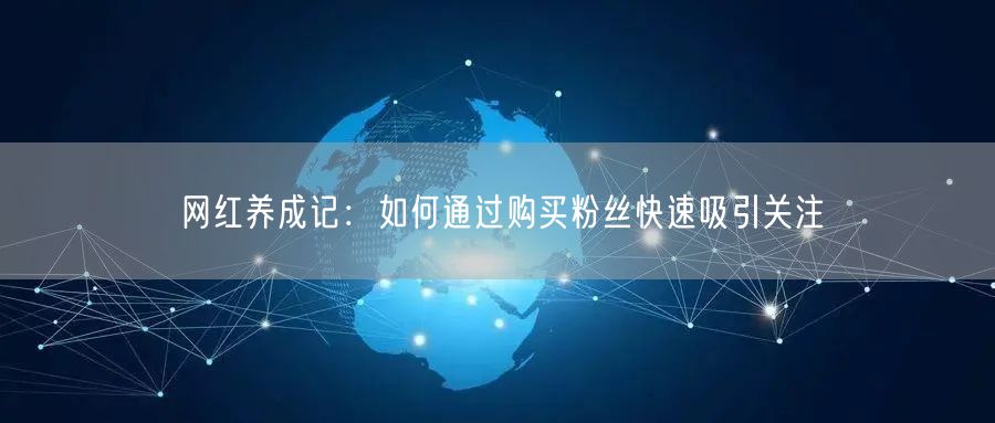网红养成记：如何通过购买粉丝快速吸引关注