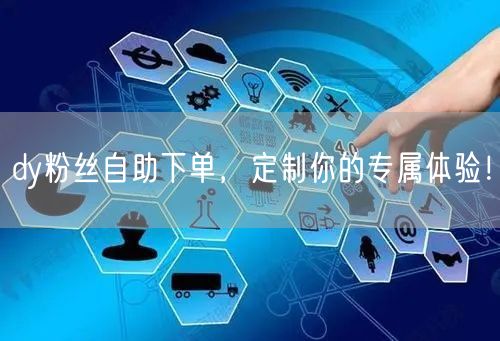 dy粉丝自助下单，定制你的专属体验！