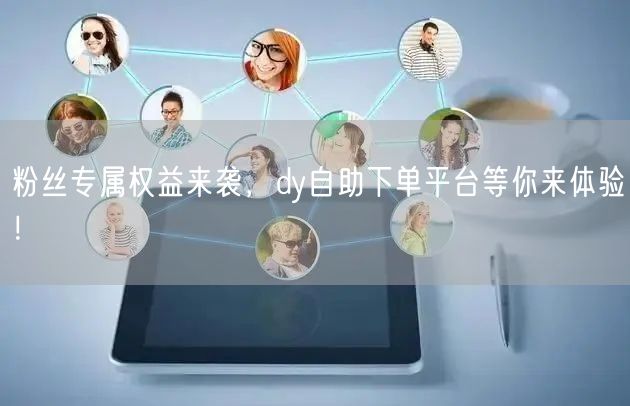 粉丝专属权益来袭，dy自助下单平台等你来体验！