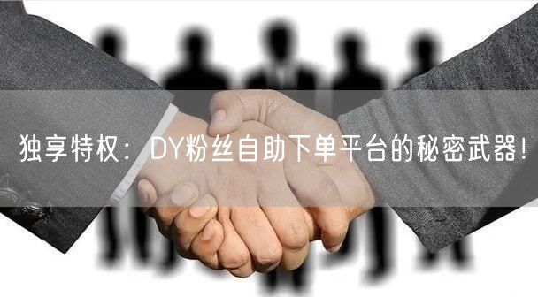 独享特权：DY粉丝自助下单平台的秘密武器！
