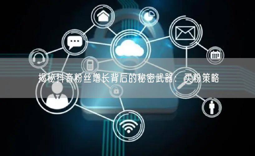揭秘抖音粉丝增长背后的秘密武器：买粉策略