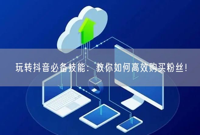 玩转抖音必备技能：教你如何高效购买粉丝！