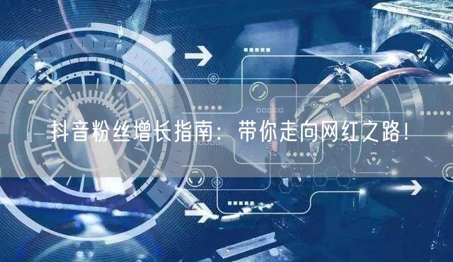 抖音粉丝增长指南：带你走向网红之路！