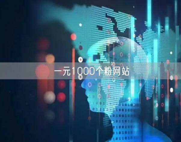 一元1000个粉网站
